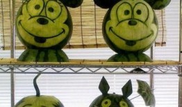 晚上吃土瓜,营养美味，健康生活新选择