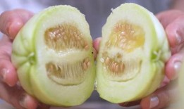 东北带皮吃的瓜,带皮瓜的独特魅力