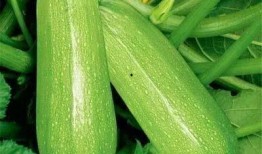 文兰吃瓜,揭秘娱乐圈幕后故事